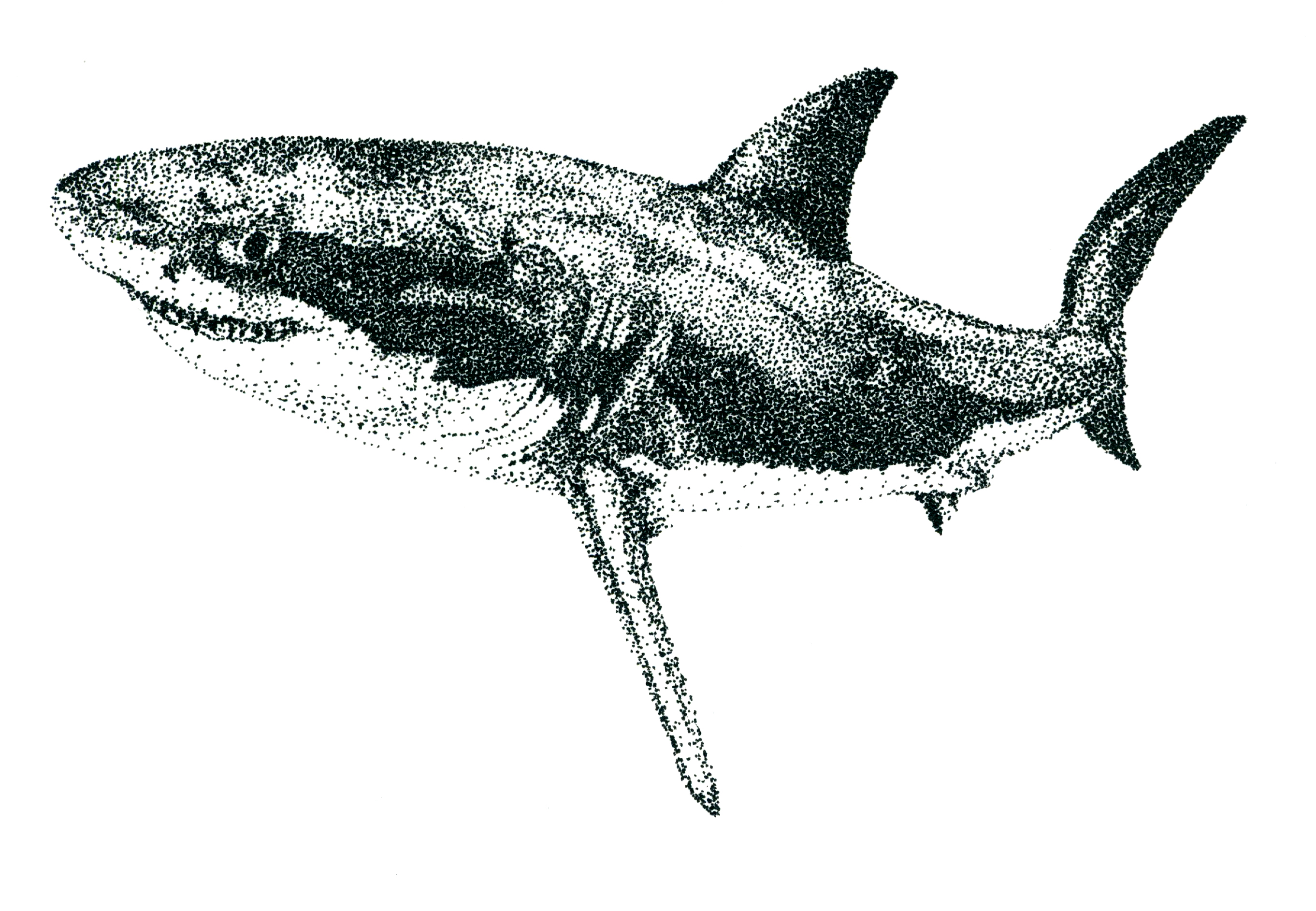 Especies peligrosas